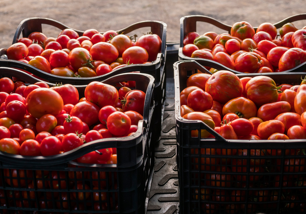 Types Of Seasonal Work