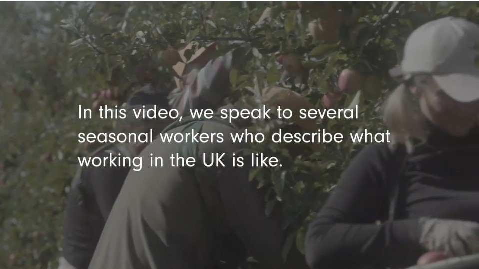Seasonal workers share experience of UK farms in new video