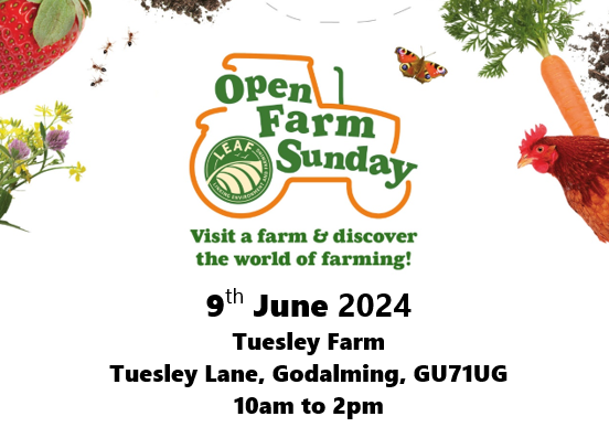 Join us for Open Farm Sunday at Tuesley Farm!